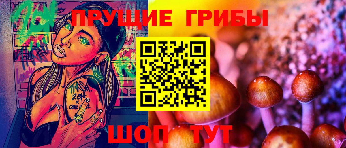 Псилоцибиновые грибы прущие грибы  Вход с VPN  Алексеевка 